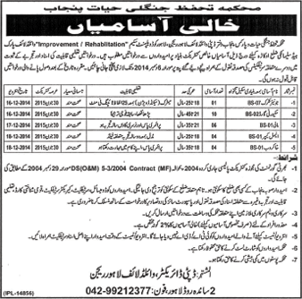 Wildlife Protection Department Punjab Jobs 2014 November Latest Advertisement