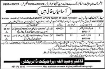 Veterinary Officer & Veterinary Assistant Jobs in Mansehra KPK 2015 Angora Rabbits Model Farms