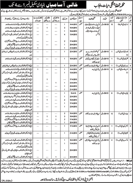 Punjab Wildlife and Parks Department Jobs 2015 March Driver, Chowkidar, Baildar, Attendants & Others