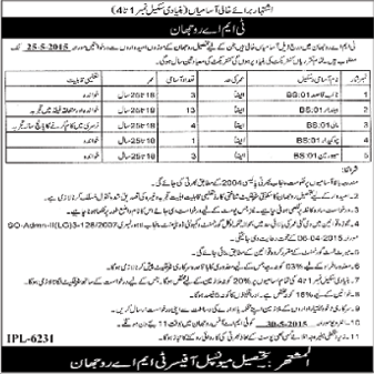 TMA Rojhan Jobs 2015 May for BPS-1 Naib Qasid, Baildar, Mali, Chowkidar & Sewer Man Latest