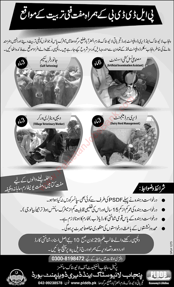 PLDDB Free Courses in Khizrabad Sargodha 2015 June PSDF Punjab Livestock and Dairy Development Board Latest