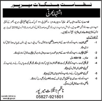 Forester Jobs in Forest Department Mirpur 2016 January AJK Latest