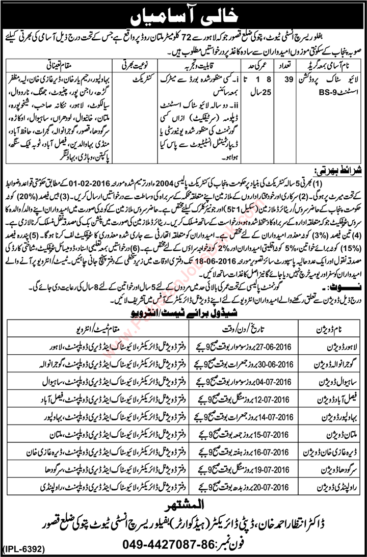 Buffalo Research Institute Pattoki Jobs May 2016 June Livestock Production Assistants Latest