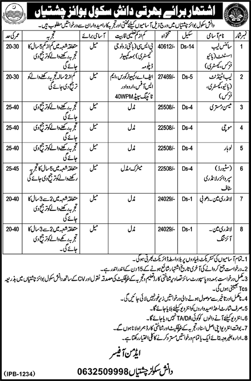 Danish School Chishtian Jobs October 2016 November Lab Assistant / Attendants & Others Latest