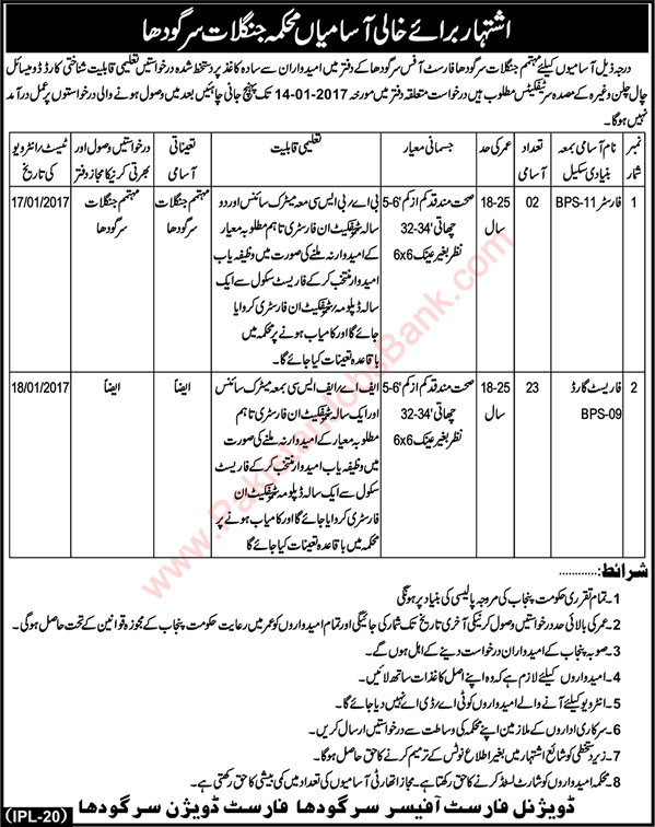 Forest Department Sargodha Jobs 2017 Forest Guards & Foresters Latest