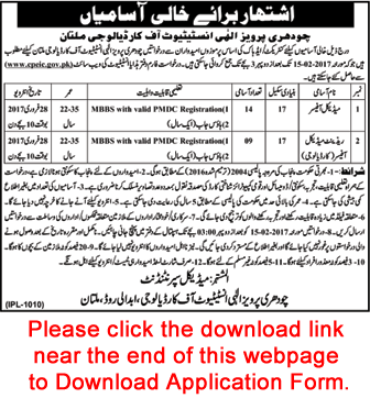 Medical Officer Jobs in Chaudhry Pervaiz Elahi Institute of Cardiology Multan 2017 February Application Form CPEIC Latest