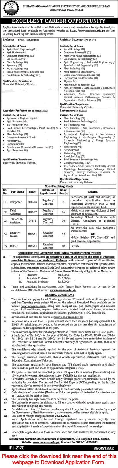 Muhammad Nawaz Shareef University of Agriculture Multan Jobs February 2018 Application Form Latest