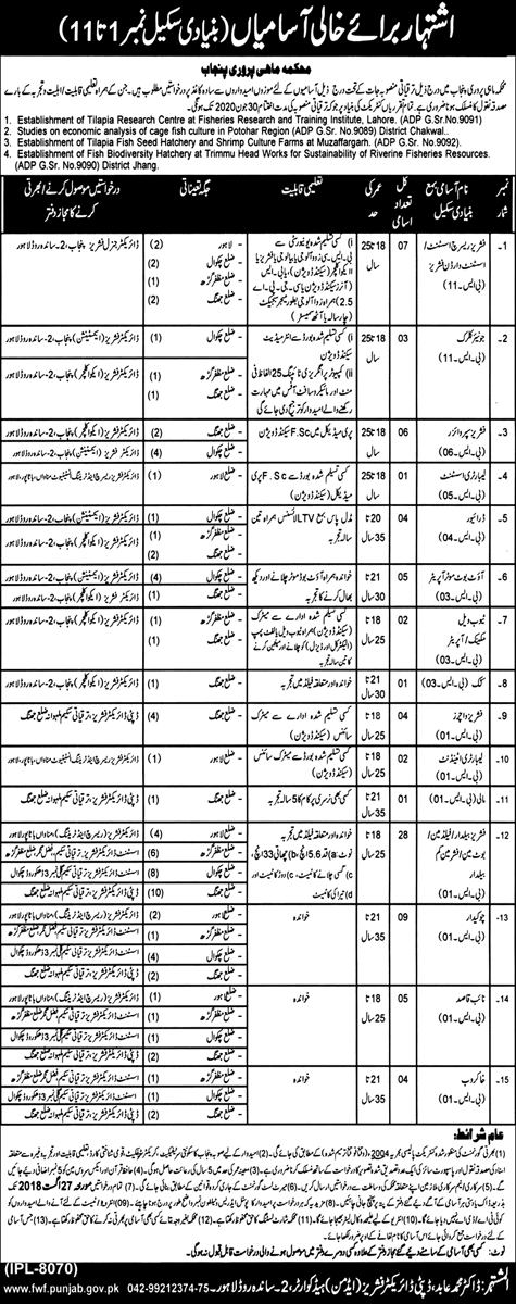 Fisheries Department Punjab Jobs 2018 August Latest