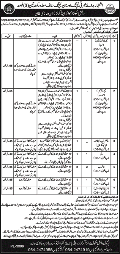 Danish School Dera Ghazi Khan Jobs 2019 April Teachers & Others Disable Quota Latest