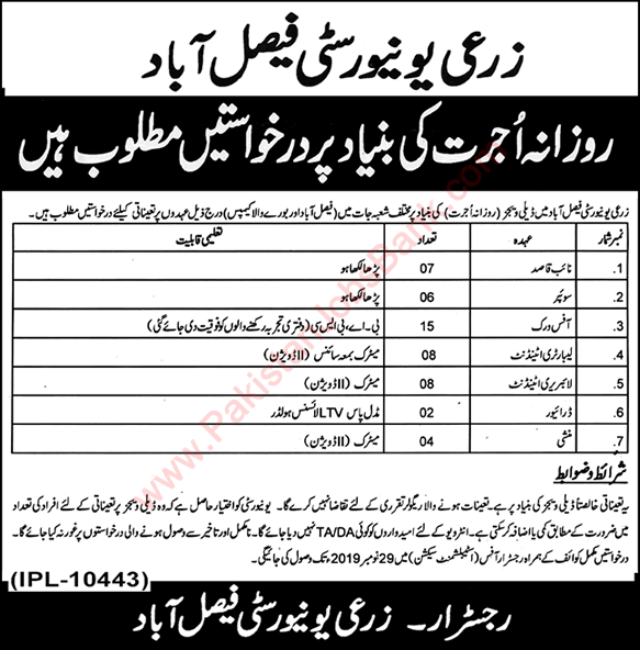 University of Agriculture Faisalabad Jobs November 2019 Burewala Campus Latest