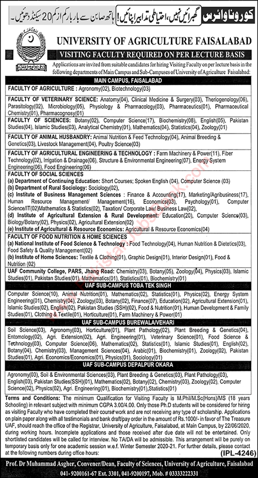 University of Agriculture Faisalabad Jobs May 2020 June Visiting Faculty UAF Latest