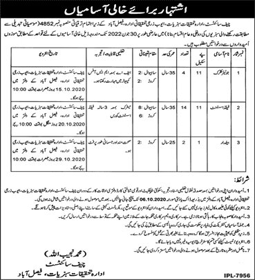 Vegetable Research Institute Faisalabad Jobs 2020 September Field Assistants, Clerks & Baildar Latest