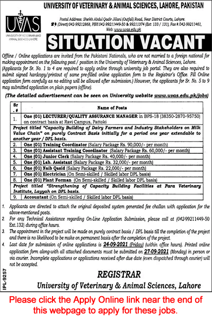 University of Veterinary and Animal Sciences Lahore Jobs September 2021 UVAS Apply Online Latest