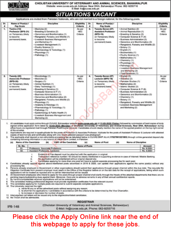 CUVAS Bahawalpur Jobs 2022 February Apply Online Teaching Faculty Cholistan University of Veterinary and Animal Sciences Latest