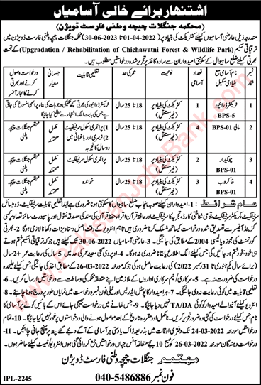 Forest Department Chichawatni Jobs March 2022 Mali, Khakroob & Others Latest