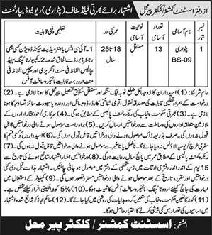 Patwari Jobs in Revenue Department Toba Tek Singh 2022 June Pir Mahal Assistant Commissioner / Collector Office Latest