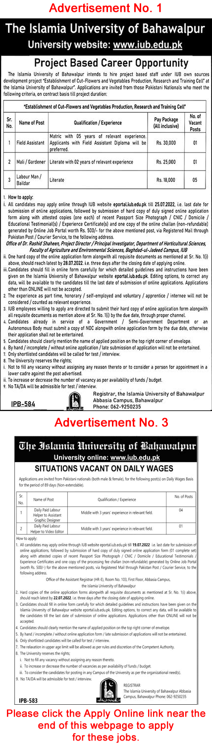 Islamia University Bahawalpur Jobs July 2022 IUB Online Apply Latest