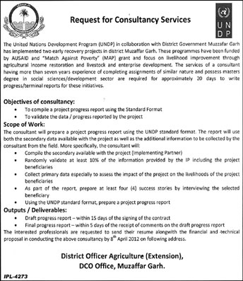 UNDP (UN Jobs) Requires Consultant