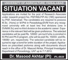 Research Associates Required by University of Agriculture Faisalabad