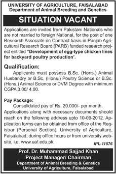 University of Agriculture Faisalabad Requires Research Associate Under PARB Project (Government Job)