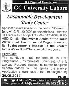 Research Fellow Jobs in GC University Lahore 2014 May