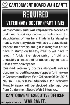 Veterinary Doctor Jobs in Cantonment Board Wah Cantt 2015 March Walk in Interviews Latest