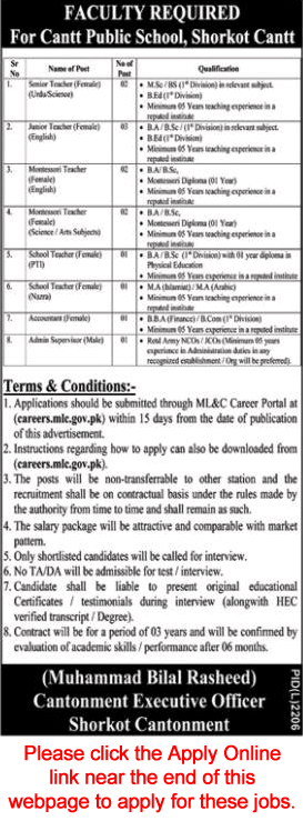 Cantt Public School Shorkot Jobs 2023 Apply Online Teachers & Others Latest