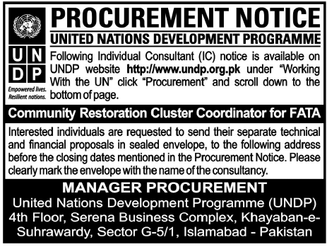 UNDP Required Consultant