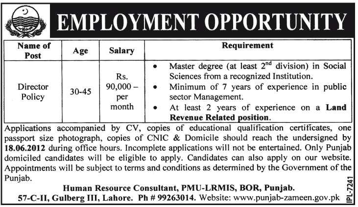 Job as Director Policy in Government of Punjab