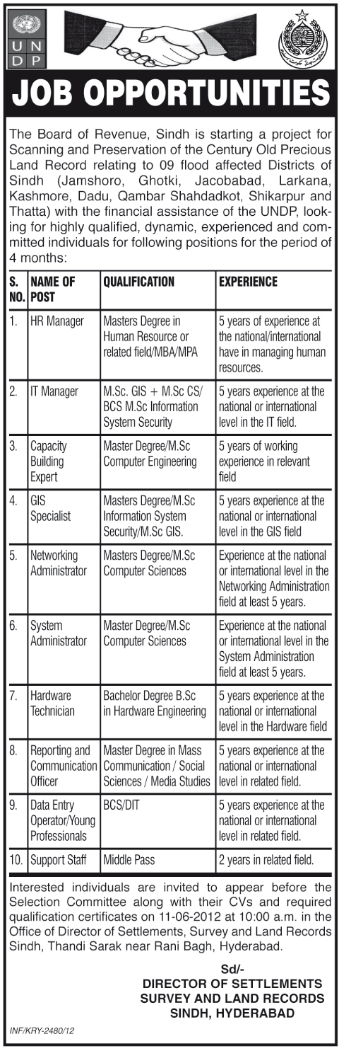 Managerial and Technical Staff Required at Board of Revenue Under UNDP