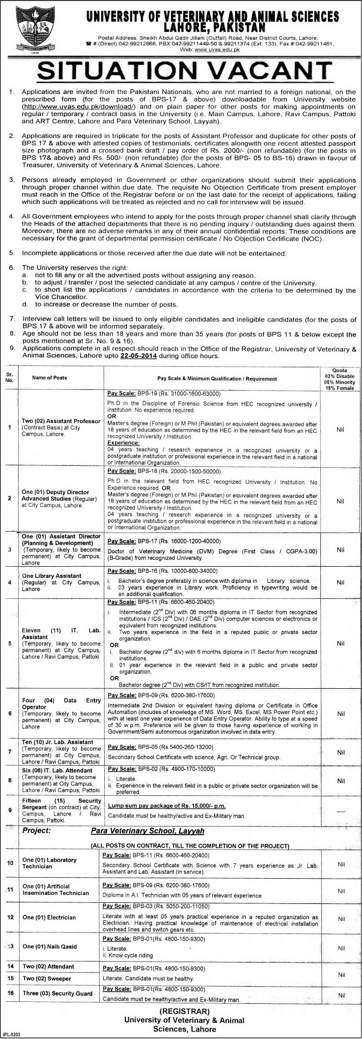 University of Veterinary & Animal Sciences (UVAS) Jobs 2014 May Teaching & Non-Teaching Staff