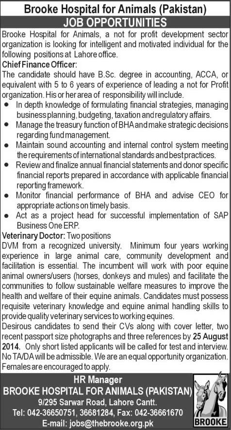 Brooke Hospital for Animals Pakistan Jobs 2014 August for Chief Finance Officer & Veterinary Doctors