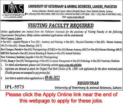 University of Veterinary and Animal Sciences Lahore Jobs May 2022 June Apply Online Visiting Faculty Latest