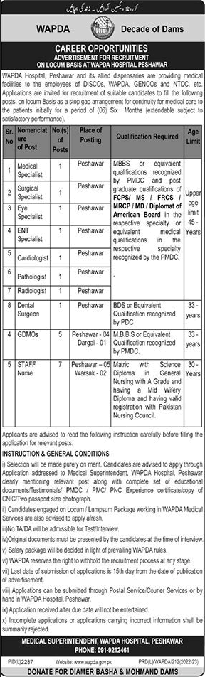 WAPDA Hospital Peshawar Jobs 2023 February Nurses, Medical Officers & Specialist Doctors Latest